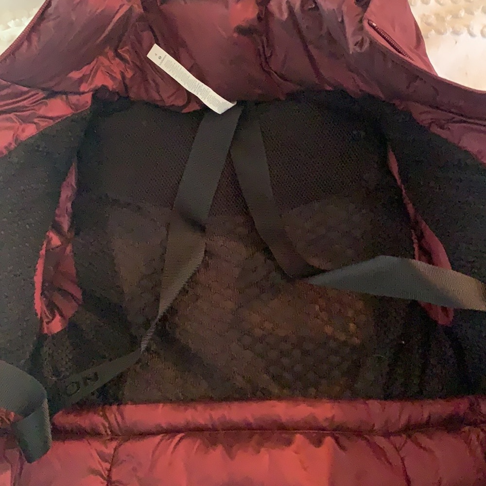 Lululemon Down Snow Jacket - image 3